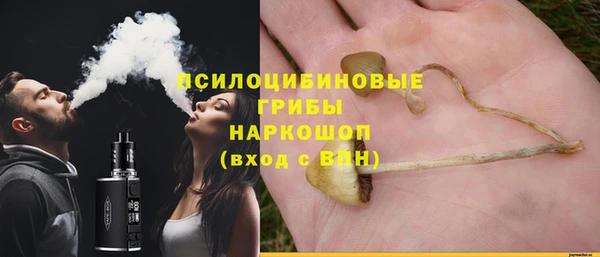 эйфоретик Алзамай