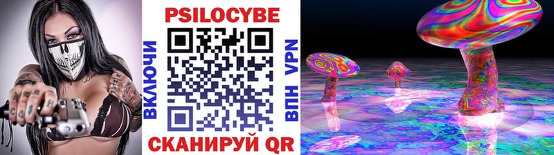 Псилоцибиновые грибы Cubensis OMG как зайти Майкоп